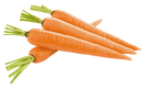 Indian Carrot - 500 g zDpXYxyZ2EgOi2jzOdsiMC